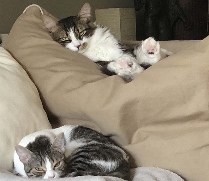 Wolfie and Lulu mad at me